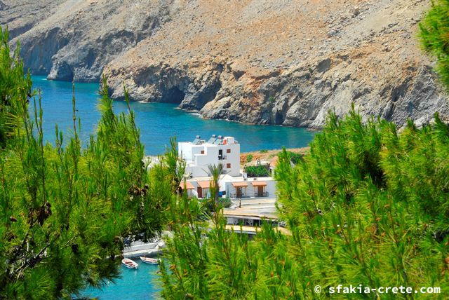 Photo report of a trip around Sfakia, Crete, May 2006